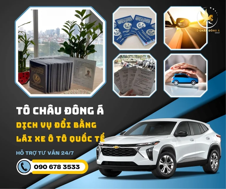 Những lý do nên chọn dịch vụ đổi bằng lái xe quốc tế tại Đồng Nai