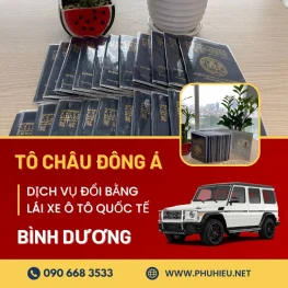 Dịch vụ đổi bằng lái xe ô tô quốc tế IAA tại Bình Dương